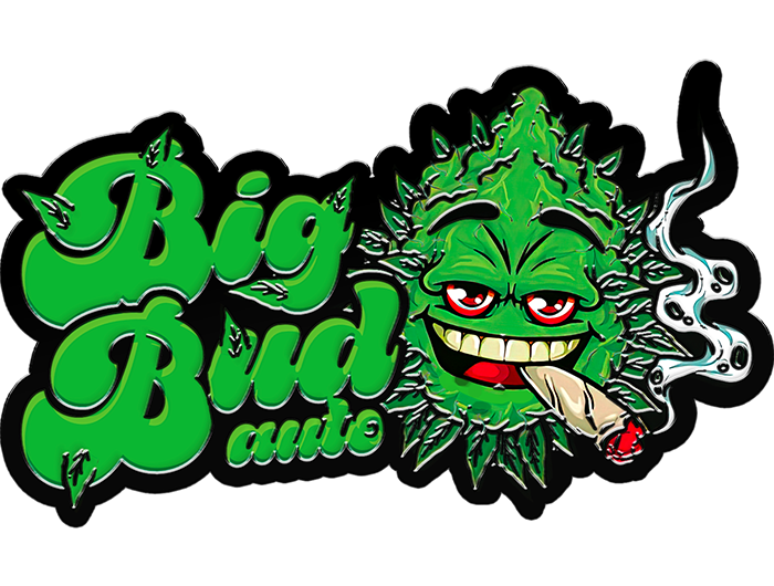 Big Bud Auto