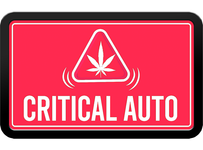 Critical Auto